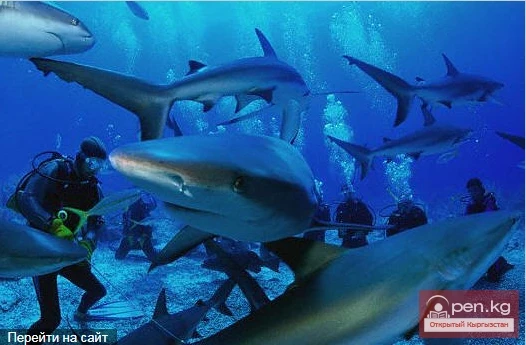 Interesting Types of Tourism Interesting Types of Tourism