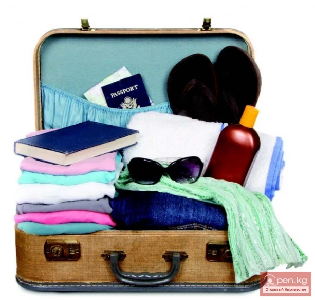 Саякатчынын жүгүртүүсү тууралуу кыскача