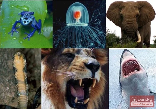 A few safety tips for tourists