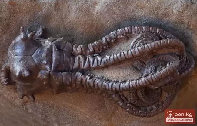 Interesting in the World