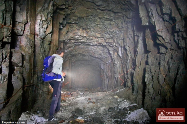 Interesting Types of Tourism