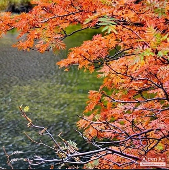Natural beauty of Kyrgyzstan