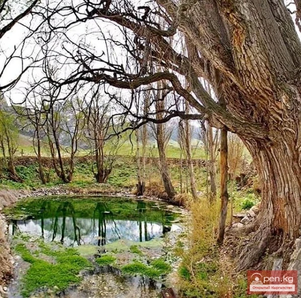 Natural beauty of Kyrgyzstan
