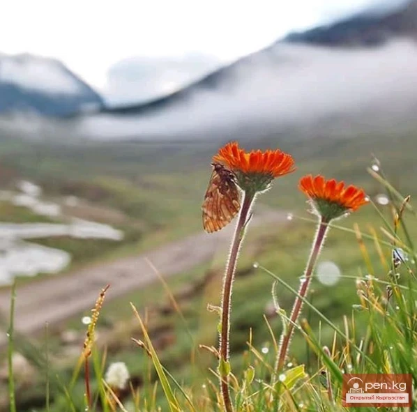 Natural beauty of Kyrgyzstan