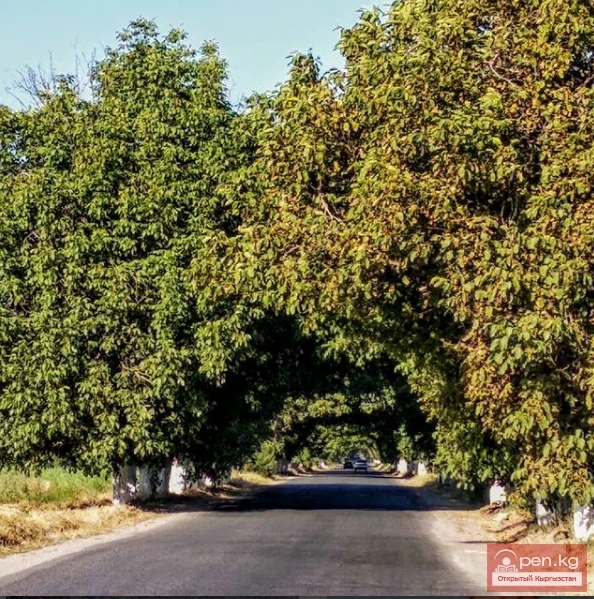 Natural beauty of Kyrgyzstan