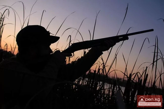 Hero of the Great Patriotic War, Kyrgyz Asanaliev Jumash