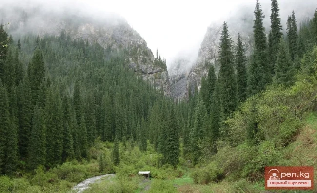 Каинды-Катта кыркасы