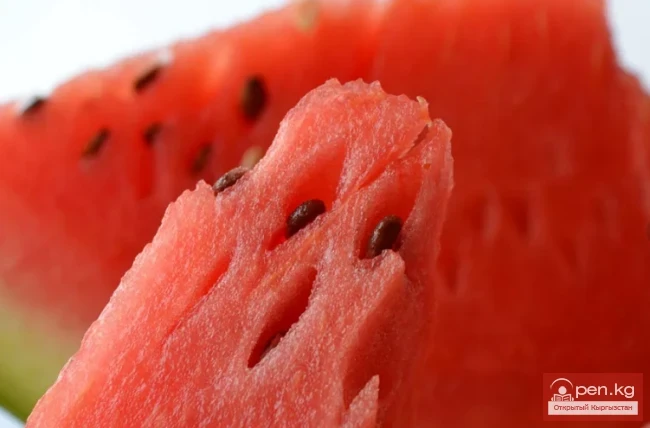 The Legend of Barskoon