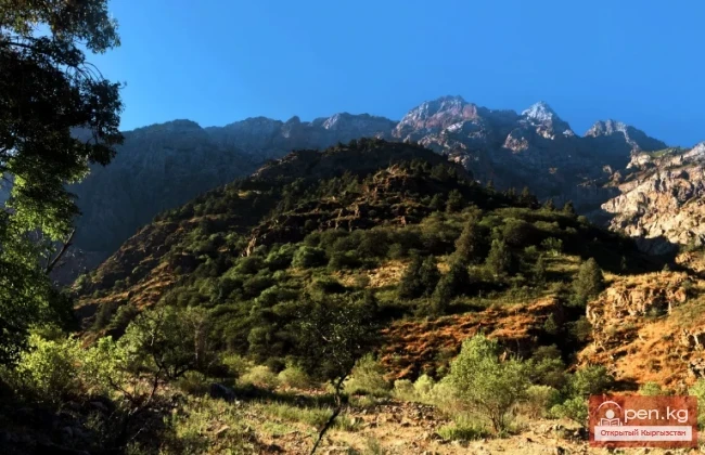 Коксуйский хребет