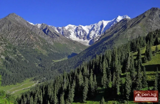 Терскей Ала-Тоо кыркасы