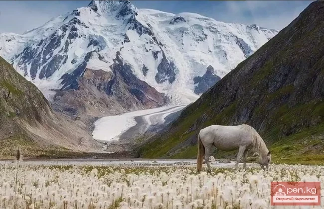 Terskey Alatoo Ridge