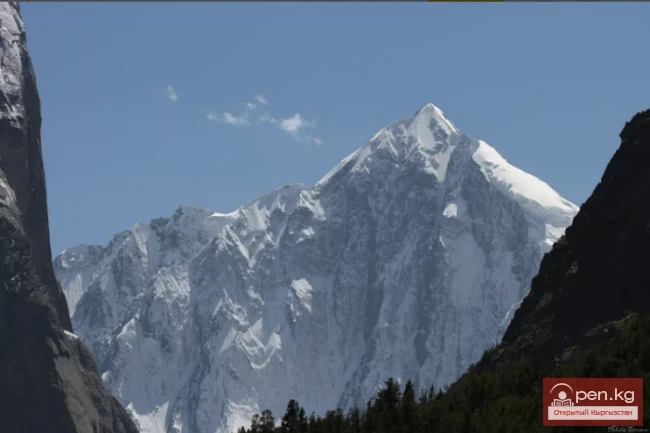 Түркестан жотосу