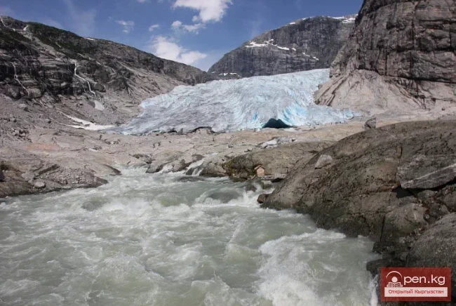 Кайынды мөңгүсү