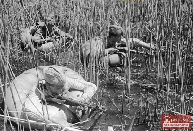 Улуу Ата Мекендик согуштун баатыры кыргызстандык Джумабаев Ташмамат
