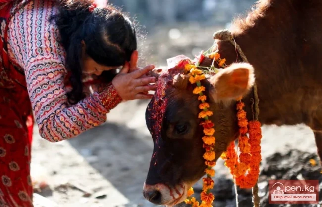 How to behave abroad: useful tips for novice tourists