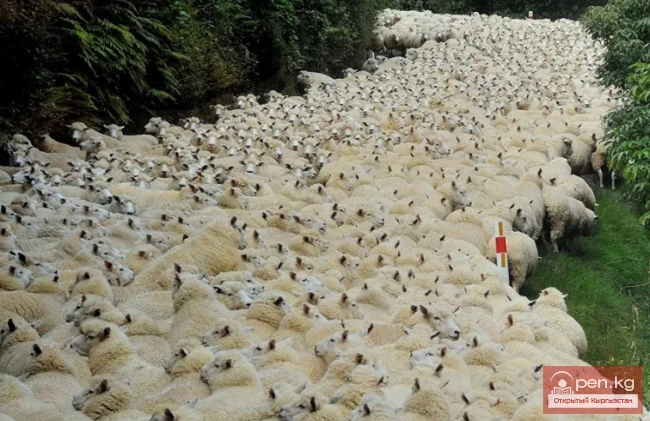 How to behave abroad: useful tips for novice tourists