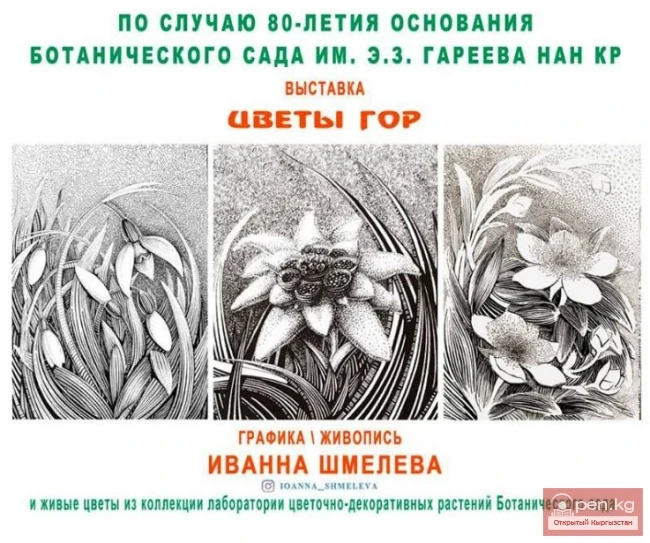 The exhibition by Ivanna Shmeleva "Flowers of the Mountains"
