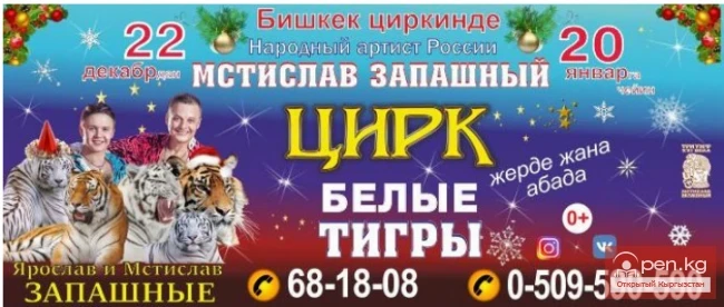 The Circus of Mstislav Zapashny