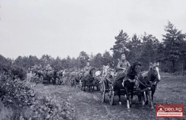Улуу Ата Мекендик согуштун баатыры кыргызстандык Крикун Василий Гаврилович