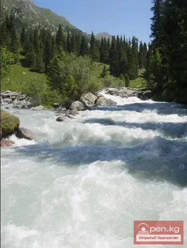 Ак-суу дарыясы