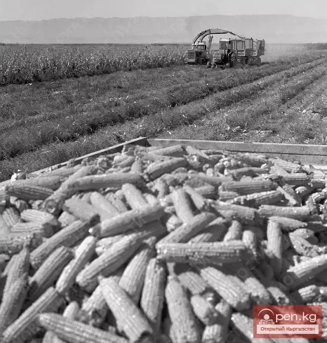 Село Боо-Терек