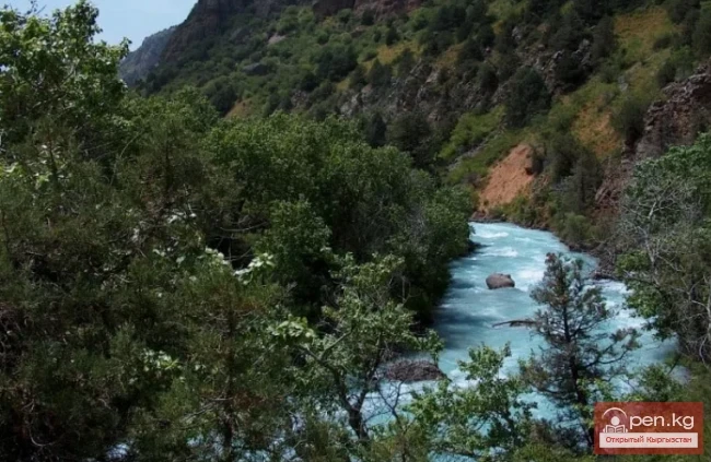 Ак-суу дарыясы