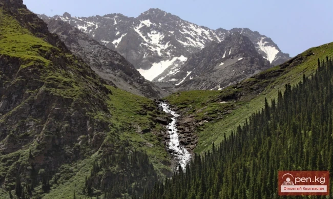 Шаар шаркыратмасы