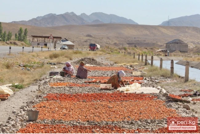 Село Самаркандек переводится на кыргызский как:

Самаркандек айыл