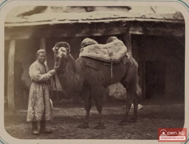 Шлагинтвейттин изи менен. Чокан Валиханов. 2-бөлүк