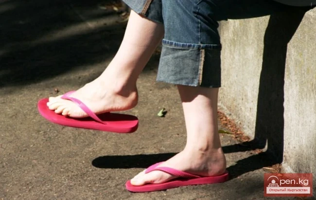 Some amazing and strange laws in different countries of the world