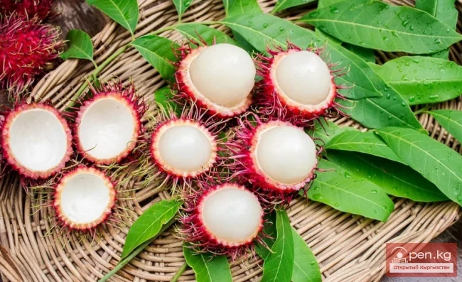 Dangerous Exotic Dishes