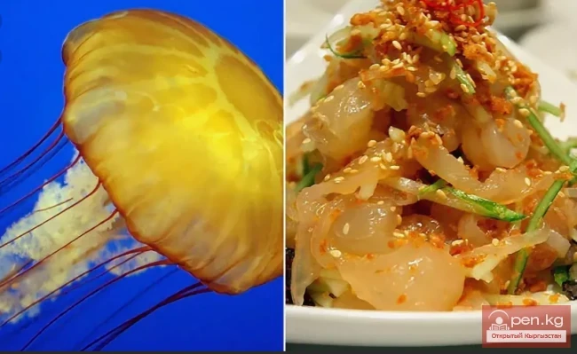 Dangerous Exotic Dishes