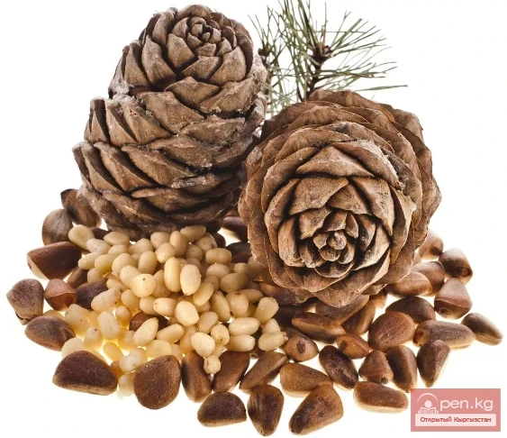 The Most Expensive Foods in the World