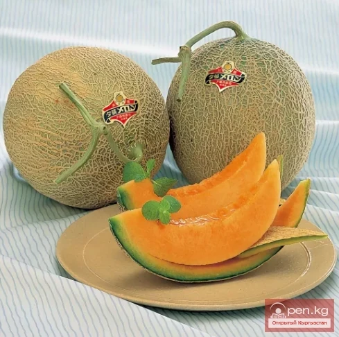 The Most Expensive Foods in the World