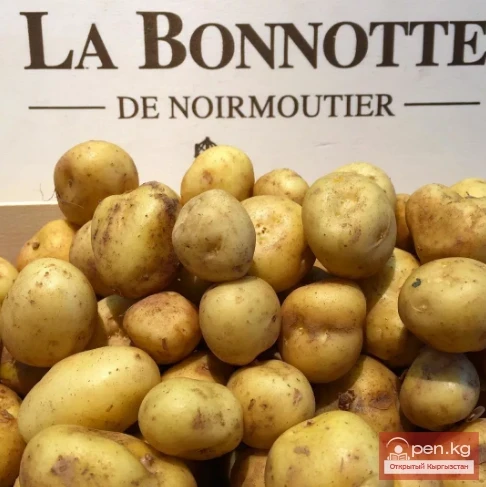 The Most Expensive Foods in the World