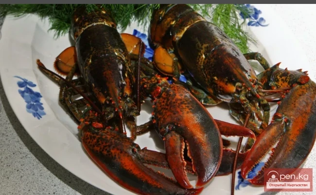 The Most Expensive Foods in the World