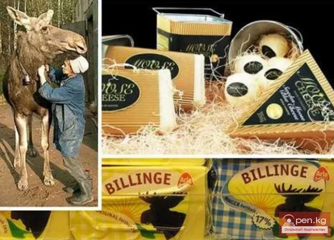 The Most Expensive Foods in the World