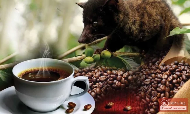 The Most Expensive Foods in the World