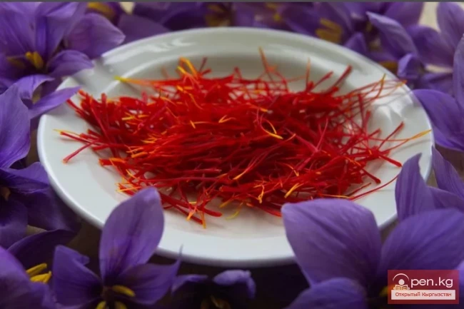 The Most Expensive Foods in the World