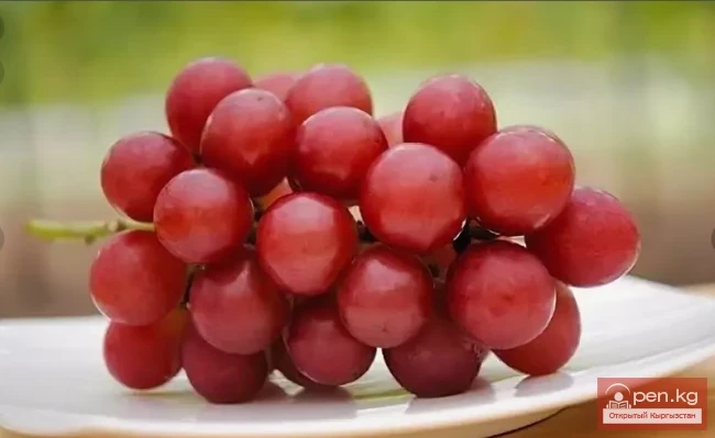 The Most Expensive Foods in the World