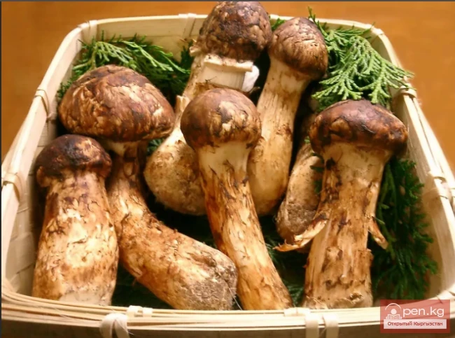 The Most Expensive Foods in the World