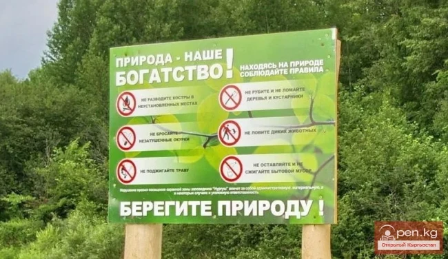 The year 2019 declared as the "Year of Regional Development and Digitalization of the Country"