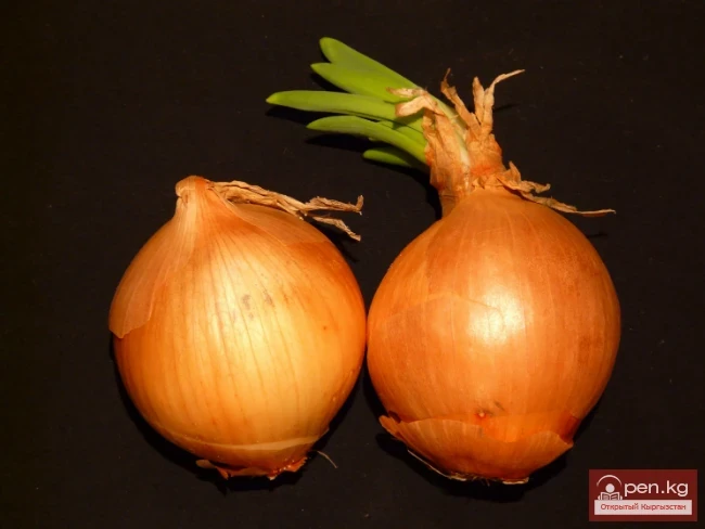 Кыргызстандын боёк өсімдүктөрү