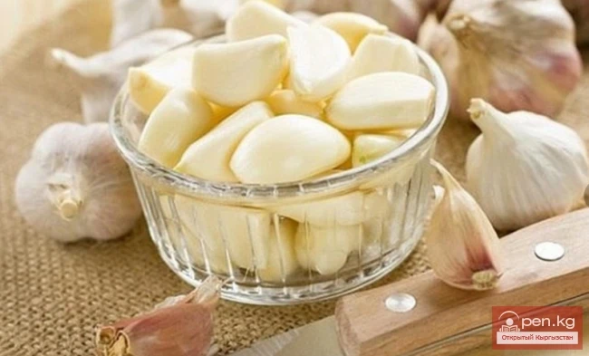 Фитонцидоносные растения Кыргызстана