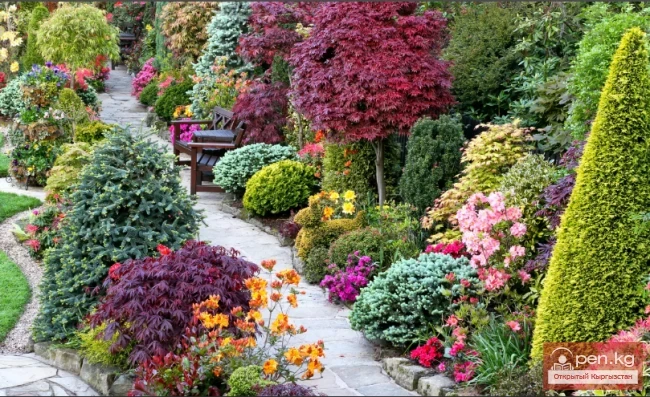 Кыргызстандын декоративдик өсүмдүктөрү