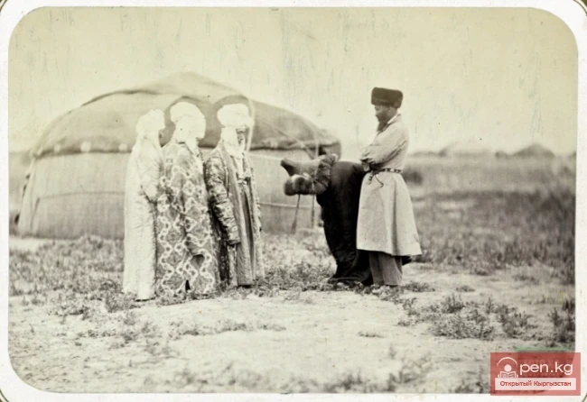 Никелик жөрөлгөсүнүн жыйынтыгы, Ф.А. Фиельструптун өзүнүн тарабынан жасалган. XX кылымдын башындагы кыргыздардын жөрөлгө жашоосунан. Бөлүм - 9