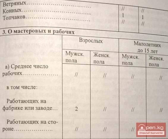 Пишпек шаарындагы териден жасалган заводдун маалыматы. Документ №10 (ноябрь 1886 ж.)
