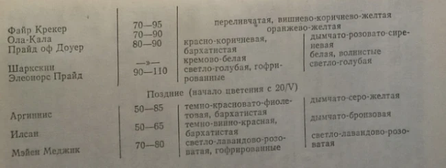 Incarvillea and irises. Rhizomatous perennials that winter in the soil of Kyrgyzstan