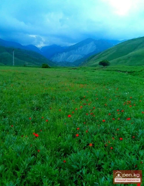 The Beauty of Kyrgyzstan