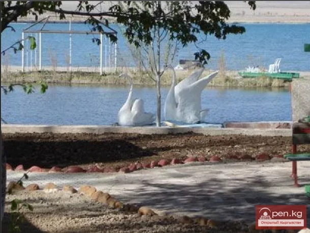 Тору-Айгыр айылы. Видео